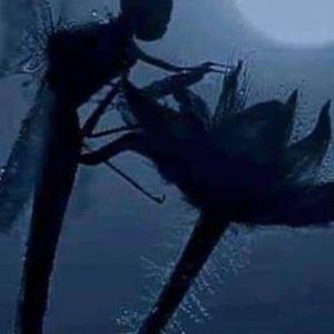 Meet your Posher, Lynn